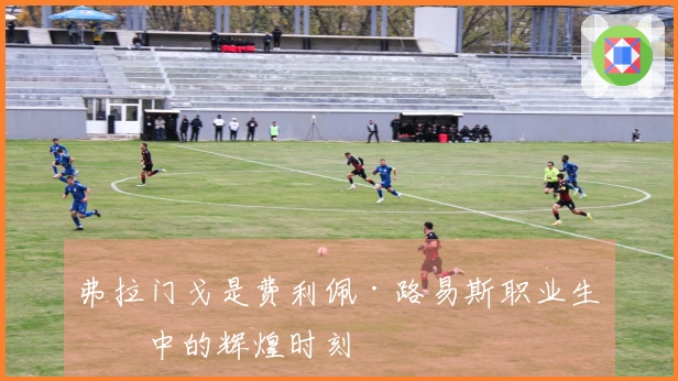 弗拉门戈是费利佩·路易斯职业生涯中的辉煌时刻